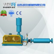 WSR-65食品行業(yè)用羅茨鼓風(fēng)機